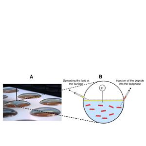 液体XVDEVIOS破解版安卓手机安装包
